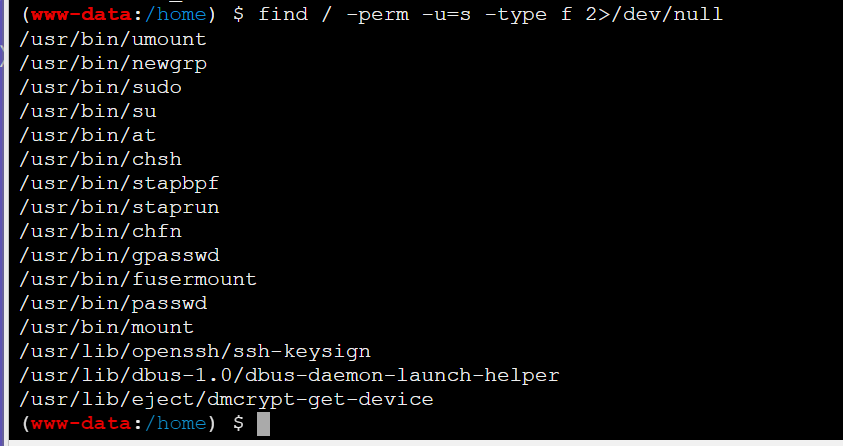 image-20250701193724533