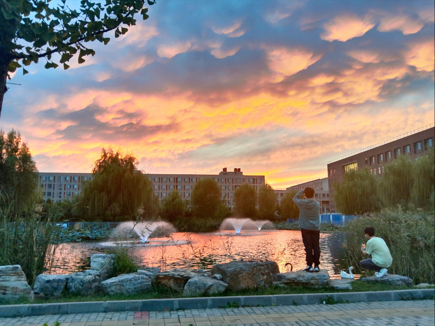 image-20250126191018647