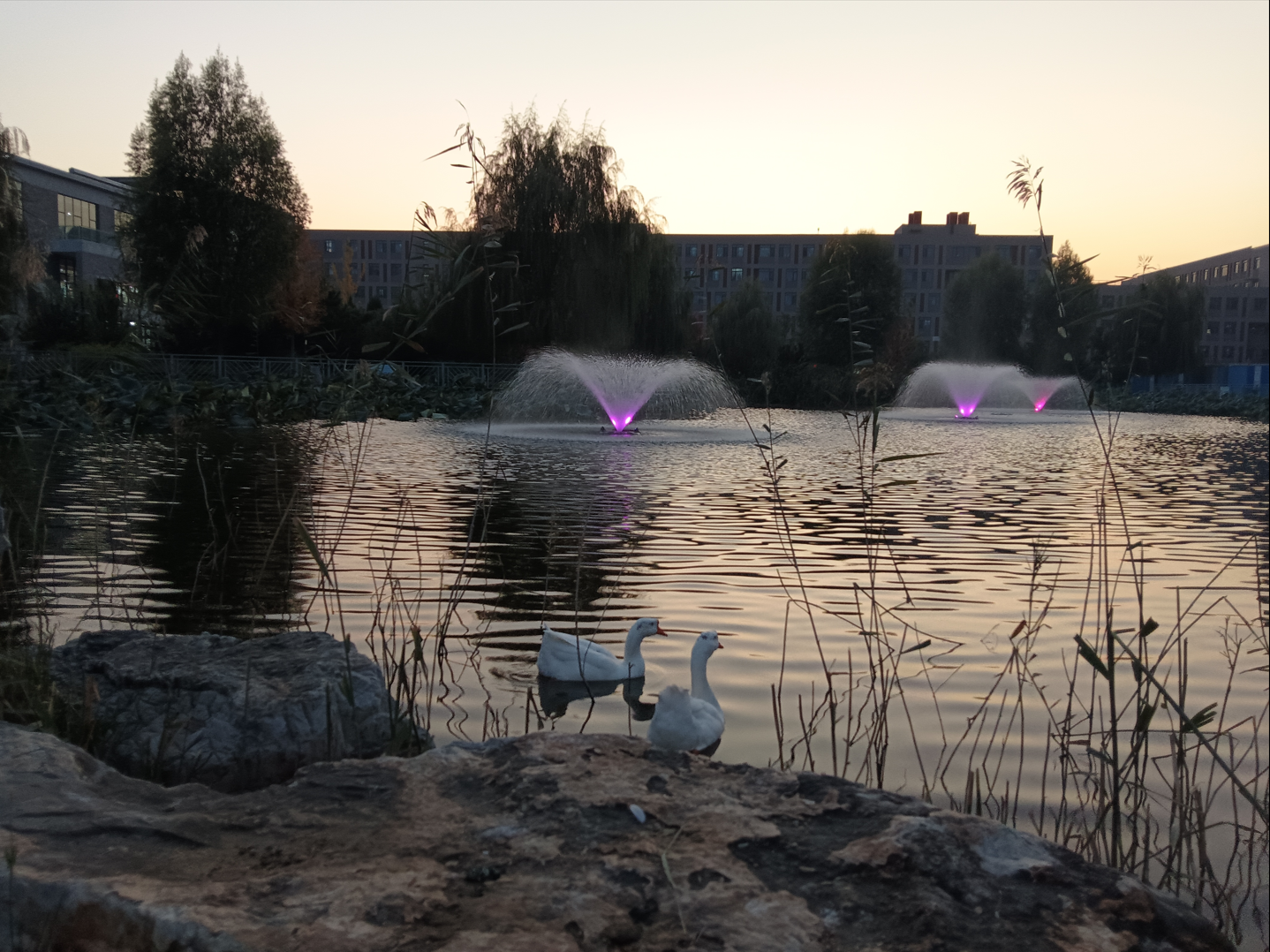 image-20250126191613188