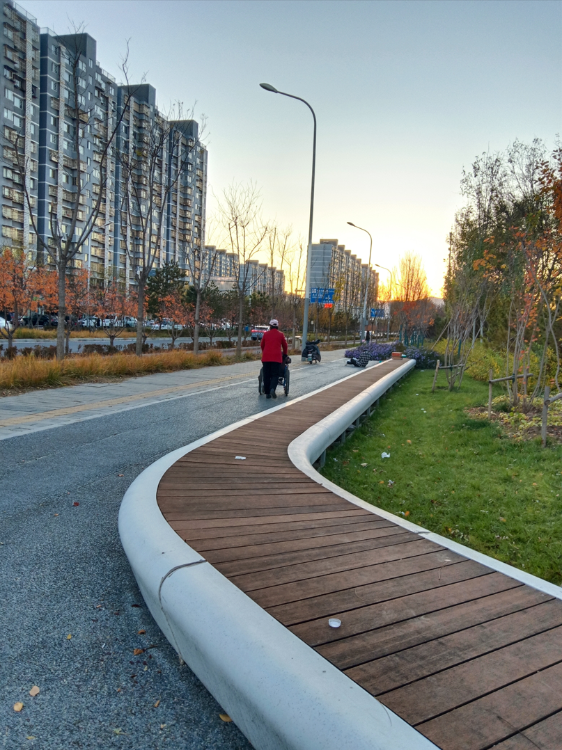 image-20250126194902756