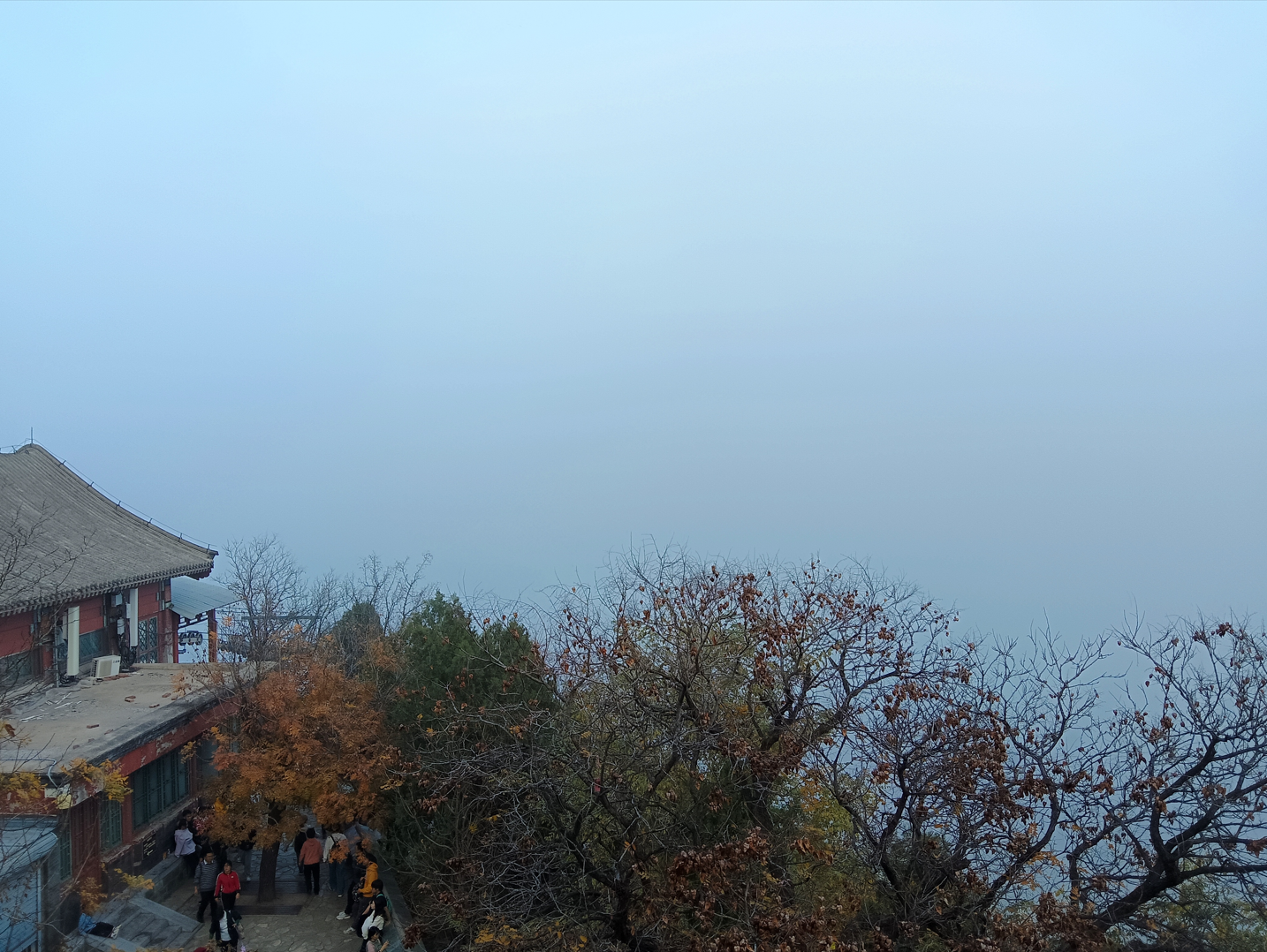 image-20250126195057451