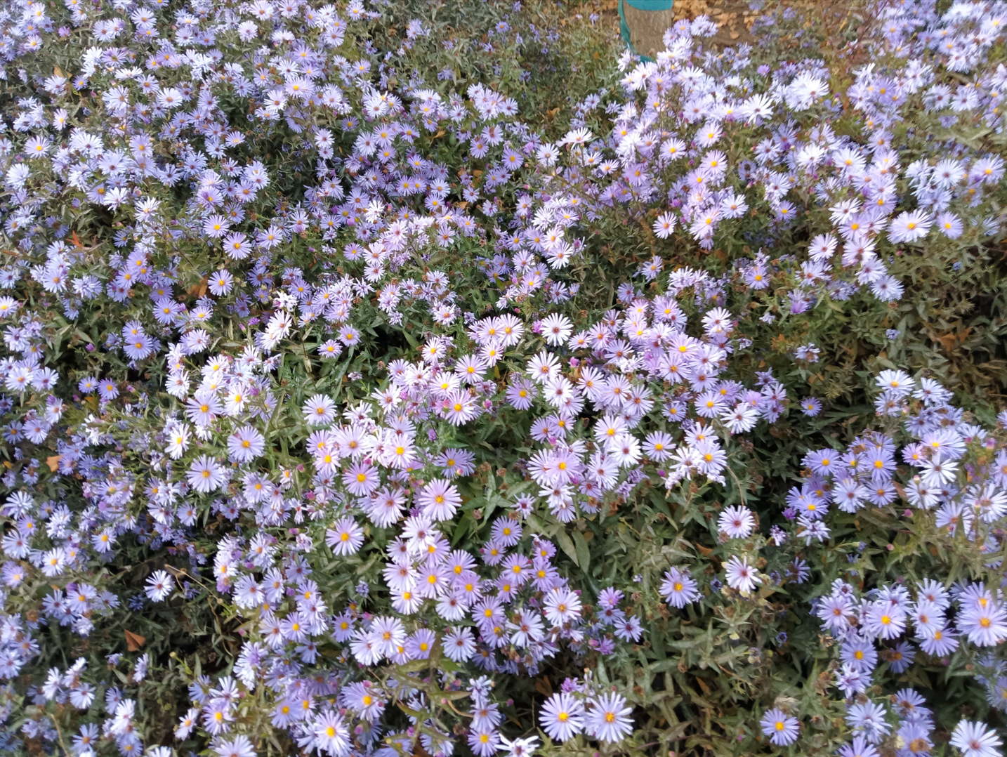 image-20250126200711914