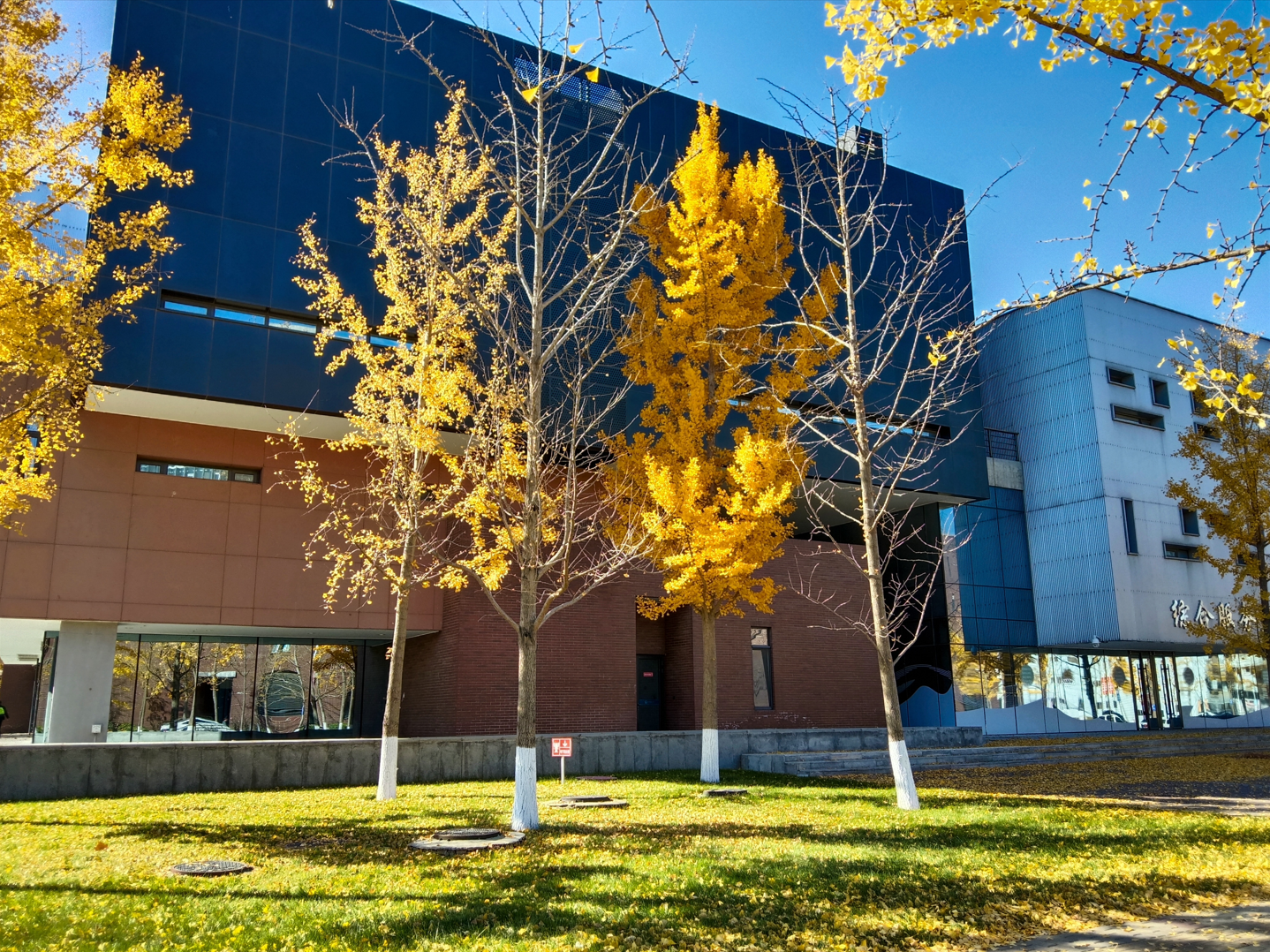 image-20250126200900352