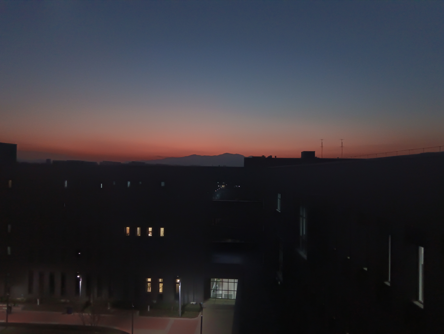 image-20250126203511022